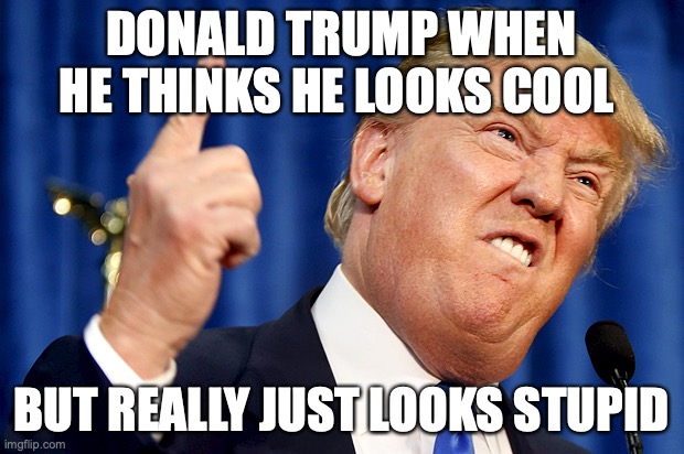 ........ | DONALD TRUMP WHEN HE THINKS HE LOOKS COOL; BUT REALLY JUST LOOKS STUPID | image tagged in donald trump | made w/ Imgflip meme maker