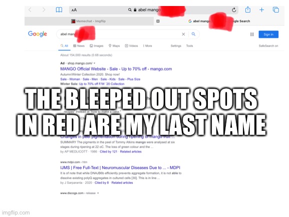Searched up my cats full name on google also the bleeped out spots in red are my last name | THE BLEEPED OUT SPOTS IN RED ARE MY LAST NAME | image tagged in google,cats,mango | made w/ Imgflip meme maker