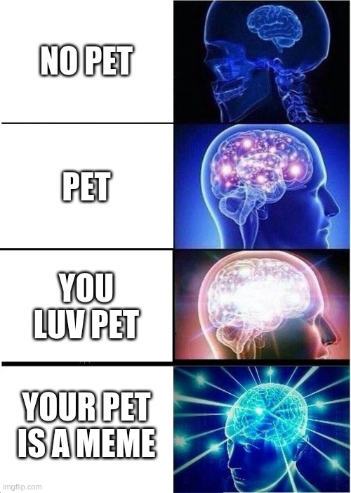 Expanding Brain Meme | NO PET; PET; YOU LUV PET; YOUR PET IS A MEME | image tagged in memes,expanding brain | made w/ Imgflip meme maker