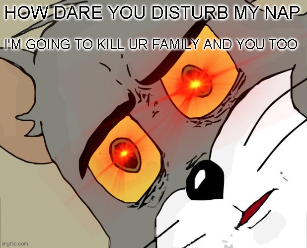 how dare you disturb my NAP | HOW DARE YOU DISTURB MY NAP; I'M GOING TO KILL UR FAMILY AND YOU TOO | image tagged in cats,unsettled tom | made w/ Imgflip meme maker