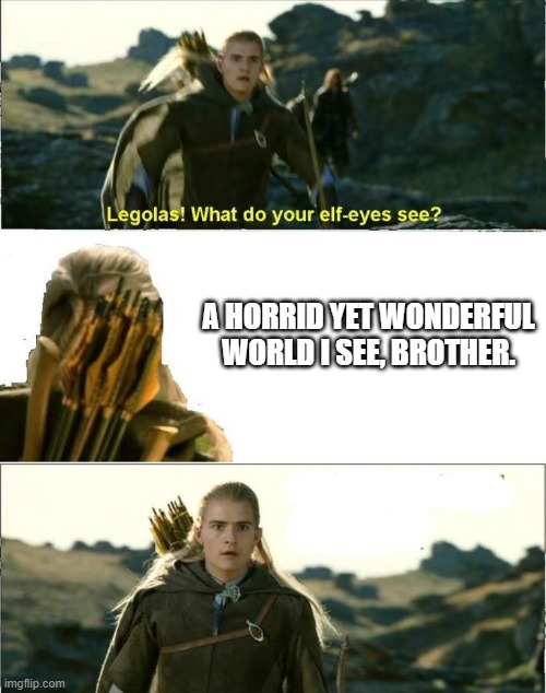 Legolas Elf Eyes | A HORRID YET WONDERFUL WORLD I SEE, BROTHER. | image tagged in legolas elf eyes | made w/ Imgflip meme maker