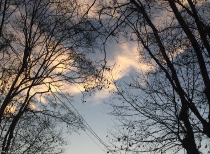 Pretty clouds and trees | image tagged in clouds,sky,tree | made w/ Imgflip meme maker