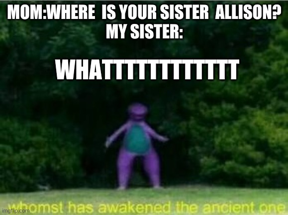 Whomst has awakened the ancient one | MOM:WHERE  IS YOUR SISTER  ALLISON?

MY SISTER:; WHATTTTTTTTTTTT | image tagged in whomst has awakened the ancient one | made w/ Imgflip meme maker