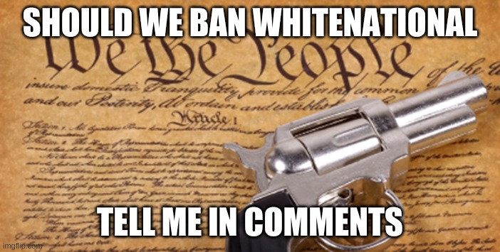 he is just now causing trouble | SHOULD WE BAN WHITENATIONAL; TELL ME IN COMMENTS | image tagged in 2nd amendment | made w/ Imgflip meme maker