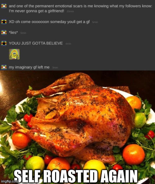 and again, it happens | SELF ROASTED AGAIN | image tagged in roasted turkey,memechat,reddit,imgflip,stop reading the tags | made w/ Imgflip meme maker