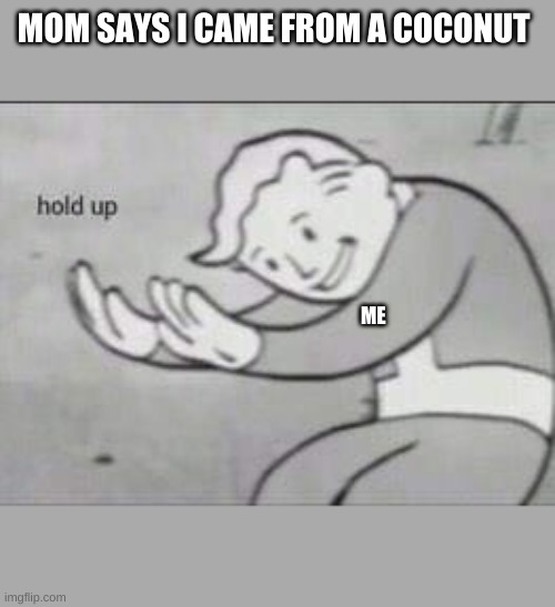 Fallout Hold Up | MOM SAYS I CAME FROM A COCONUT; ME | image tagged in fallout hold up | made w/ Imgflip meme maker