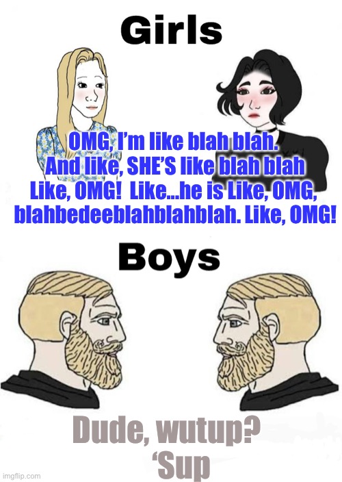 Girls vs Boys | OMG, I’m like blah blah.  And like, SHE’S like blah blah Like, OMG!  Like...he is Like, OMG, 
blahbedeeblahblahblah. Like, OMG! Dude, wutup?      ‘Sup | image tagged in girls vs boys | made w/ Imgflip meme maker