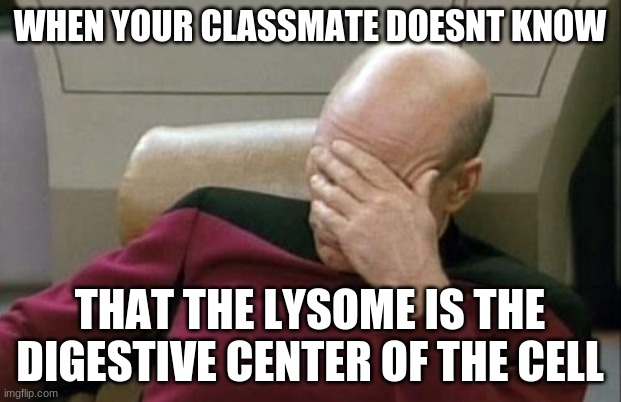 Captain Picard Facepalm | WHEN YOUR CLASSMATE DOESNT KNOW; THAT THE LYSOME IS THE DIGESTIVE CENTER OF THE CELL | image tagged in memes,captain picard facepalm | made w/ Imgflip meme maker