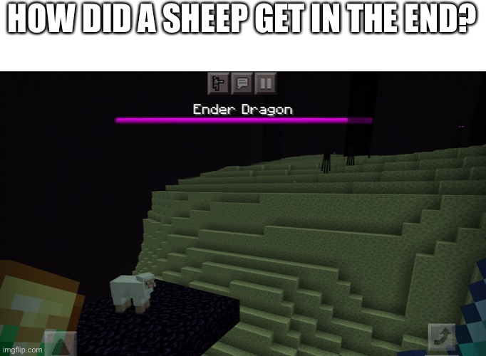 It just spawned there | HOW DID A SHEEP GET IN THE END? | image tagged in minecraft | made w/ Imgflip meme maker