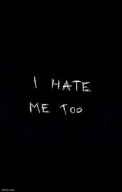 I hate me too | image tagged in i hate me too | made w/ Imgflip meme maker