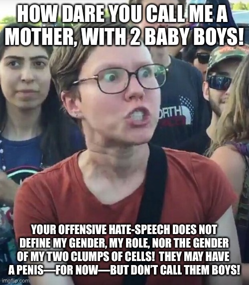 super_triggered | HOW DARE YOU CALL ME A 
MOTHER, WITH 2 BABY BOYS! YOUR OFFENSIVE HATE-SPEECH DOES NOT
DEFINE MY GENDER, MY ROLE, NOR THE GENDER OF MY TWO CLUMPS OF CELLS!  THEY MAY HAVE 
A PENIS—FOR NOW—BUT DON’T CALL THEM BOYS! | image tagged in super_triggered | made w/ Imgflip meme maker