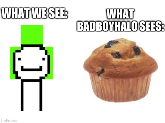 You Muffinhead! | WHAT BADBOYHALO SEES:; WHAT WE SEE: | image tagged in blank white template,dream,badboyhalo,minecraft,minecrafter | made w/ Imgflip meme maker