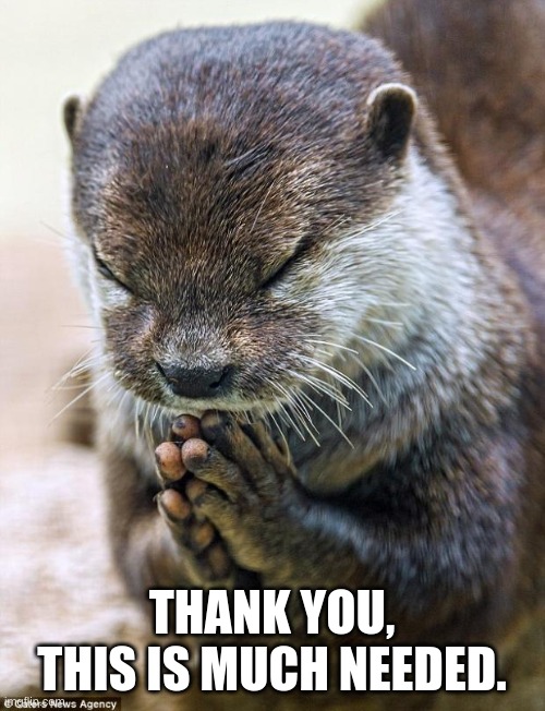 Thank you Lord Otter | THANK YOU, THIS IS MUCH NEEDED. | image tagged in thank you lord otter | made w/ Imgflip meme maker