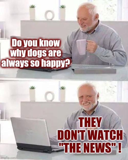 Lucky Dogs !!! | Do you know why dogs are always so happy? THEY DON'T WATCH "THE NEWS" ! | image tagged in memes,hide the pain harold,news,breaking news,bad news,happy dog | made w/ Imgflip meme maker