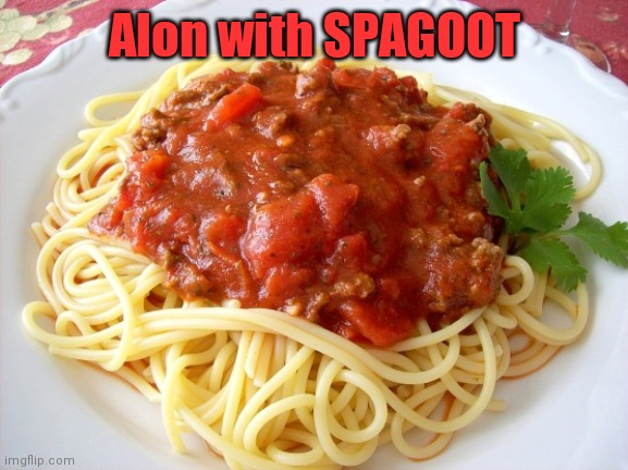 Spaghetti  | Alon with SPAGOOT | image tagged in spaghetti | made w/ Imgflip meme maker