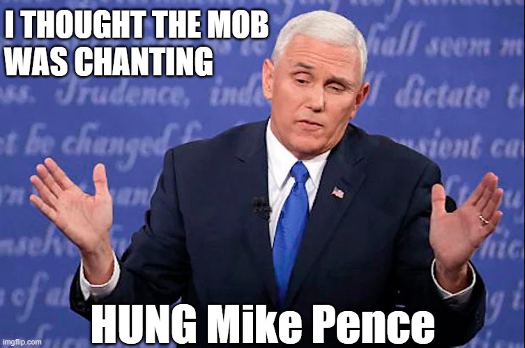 HUNG Mike Pence | I THOUGHT THE MOB; WAS CHANTING; HUNG Mike Pence | image tagged in capitol riot,mike pence,hung | made w/ Imgflip meme maker