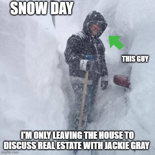 SNOW!!! | SNOW DAY; THIS GUY; I'M ONLY LEAVING THE HOUSE TO DISCUSS REAL ESTATE WITH JACKIE GRAY | image tagged in snow | made w/ Imgflip meme maker