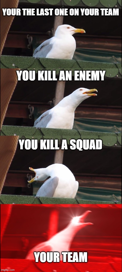 Inhaling Seagull | YOUR THE LAST ONE ON YOUR TEAM; YOU KILL AN ENEMY; YOU KILL A SQUAD; YOUR TEAM | image tagged in memes,inhaling seagull | made w/ Imgflip meme maker