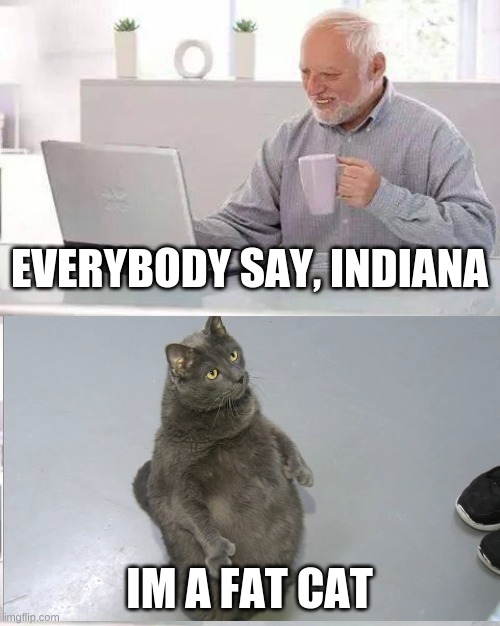 im a fat cat | EVERYBODY SAY, INDIANA; IM A FAT CAT | image tagged in memes,hide the pain harold | made w/ Imgflip meme maker