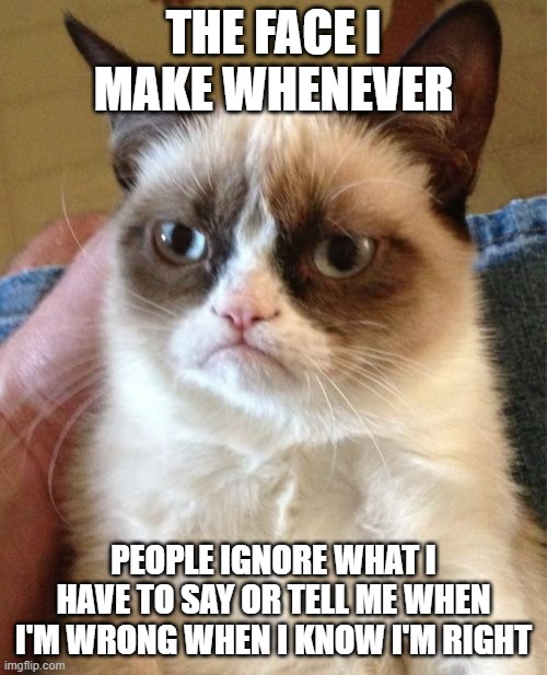Why do people ignore me so much? It PISSES me off! >:( | THE FACE I MAKE WHENEVER; PEOPLE IGNORE WHAT I HAVE TO SAY OR TELL ME WHEN I'M WRONG WHEN I KNOW I'M RIGHT | image tagged in memes,grumpy cat | made w/ Imgflip meme maker