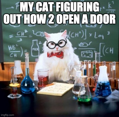Chemistry Cat Meme | MY CAT FIGURING OUT HOW 2 OPEN A DOOR | image tagged in memes,chemistry cat | made w/ Imgflip meme maker
