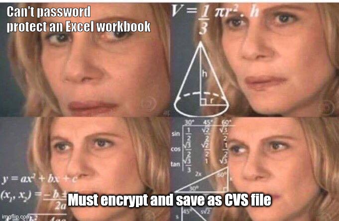 Excel at work, be excellente | Can't password protect an Excel workbook; Must encrypt and save as CVS file | image tagged in math lady/confused lady | made w/ Imgflip meme maker