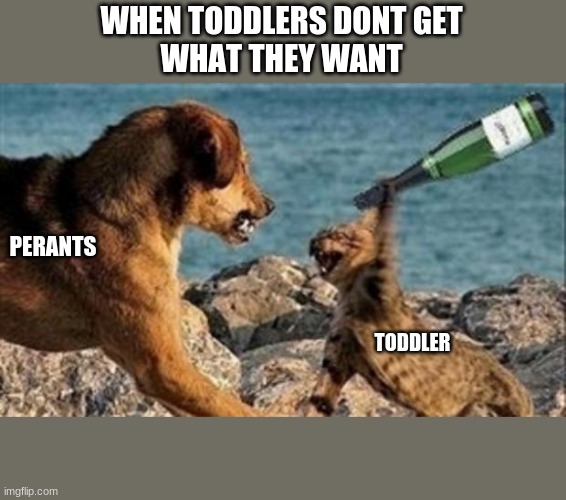 cat vs. dog | WHEN TODDLERS DONT GET
WHAT THEY WANT; PERANTS; TODDLER | image tagged in cat vs dog | made w/ Imgflip meme maker