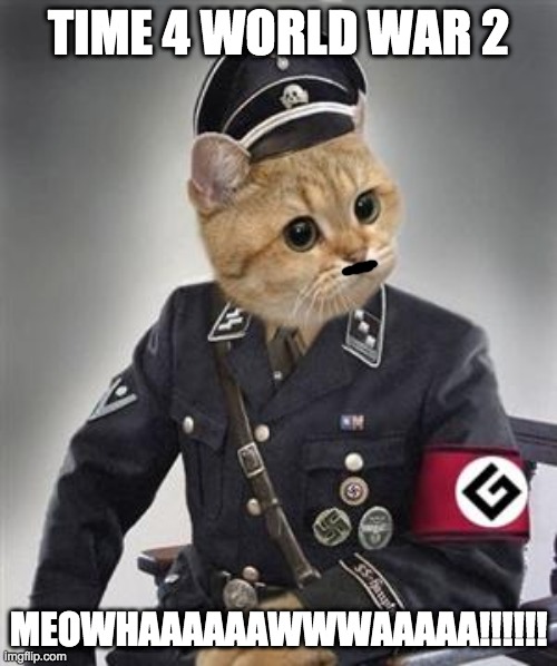 Grammar Nazi Cat | TIME 4 WORLD WAR 2; MEOWHAAAAAAWWWAAAAA!!!!!! | image tagged in grammar nazi cat | made w/ Imgflip meme maker