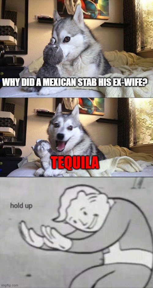 Impossible Quiz reference | WHY DID A MEXICAN STAB HIS EX-WIFE? TEQUILA | image tagged in memes,bad pun dog,fallout hold up,tequila | made w/ Imgflip meme maker