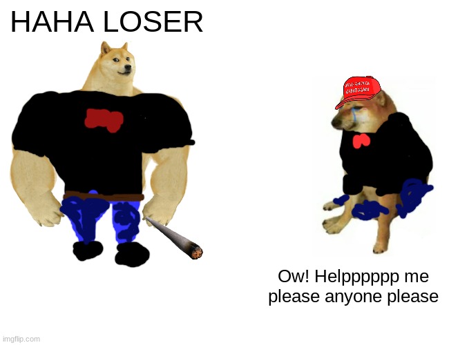 Borki Bork high\school be like | HAHA LOSER; Ow! Helpppppp me please anyone please | image tagged in memes,buff doge vs cheems | made w/ Imgflip meme maker