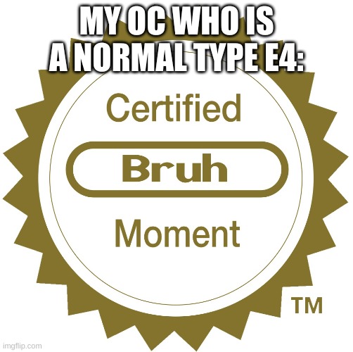 Certified bruh moment | MY OC WHO IS A NORMAL TYPE E4: | image tagged in certified bruh moment | made w/ Imgflip meme maker