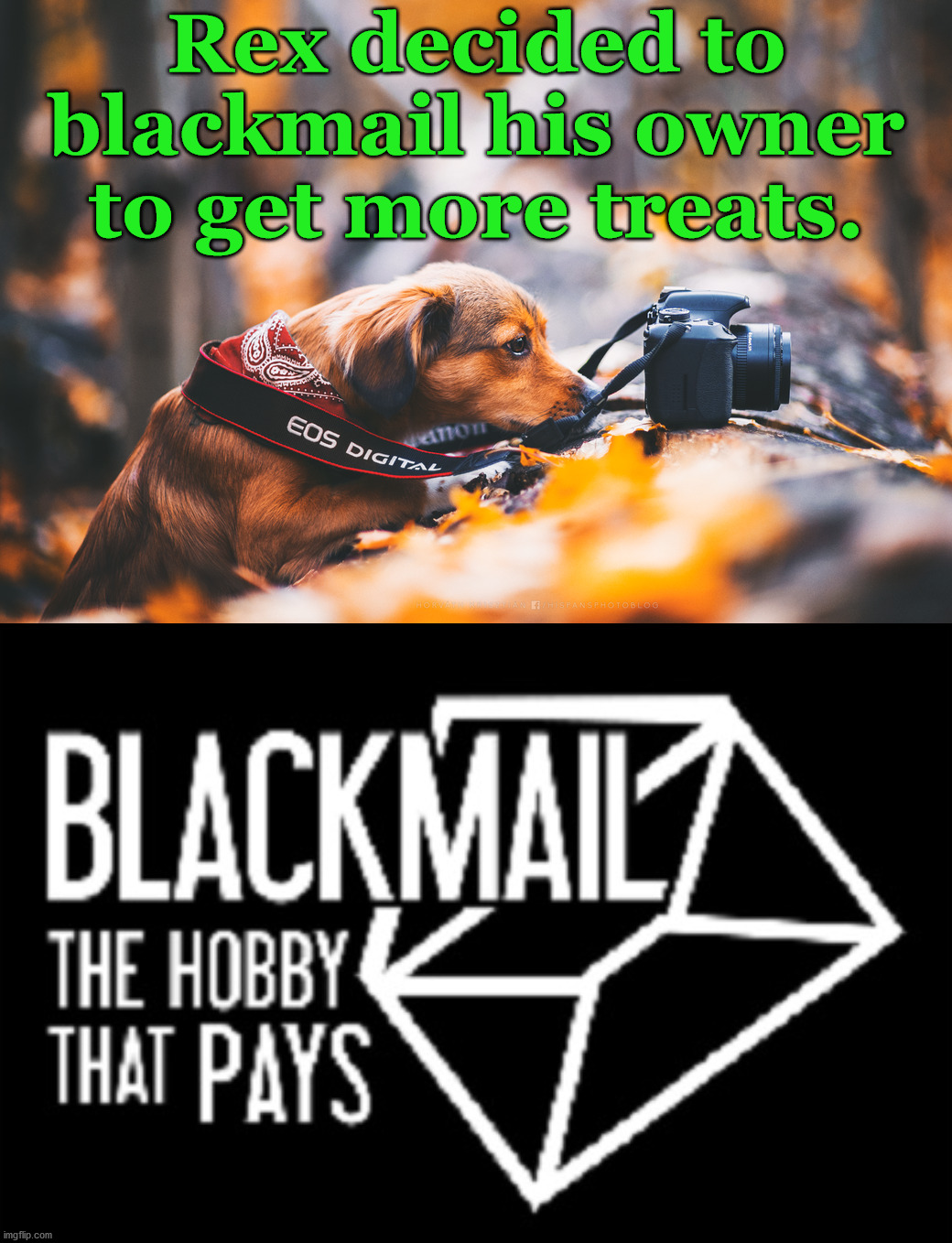 Problem is he had no thumbs to remove the lens cap |  Rex decided to blackmail his owner to get more treats. | image tagged in blackmail,wholesome,dog,treats | made w/ Imgflip meme maker