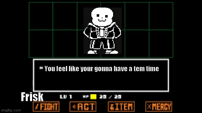Day 3 of posting temmie | You feel like your gonna have a tem time; Frisk | image tagged in undertale fight | made w/ Imgflip meme maker