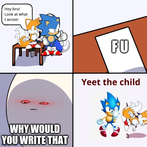 Yeet the child | F U; WHY WOULD YOU WRITE THAT | image tagged in yeet the child | made w/ Imgflip meme maker