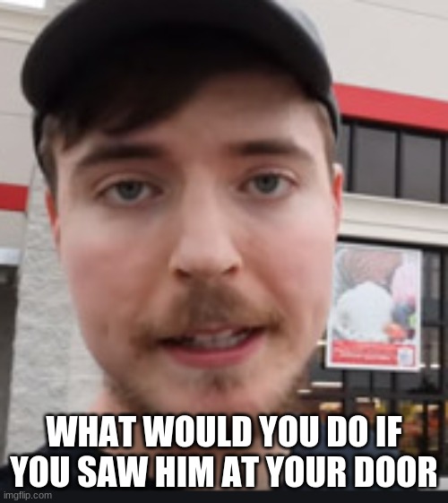 what will you do | WHAT WOULD YOU DO IF YOU SAW HIM AT YOUR DOOR | image tagged in mrbeast | made w/ Imgflip meme maker