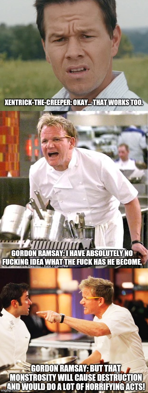 XENTRICK-THE-CREEPER: OKAY... THAT WORKS TOO. GORDON RAMSAY: I HAVE ABSOLUTELY NO FUCKING IDEA WHAT THE FUCK HAS HE BECOME, GORDON RAMSAY: B | image tagged in confused man,memes,chef gordon ramsay,hell's kitchen | made w/ Imgflip meme maker