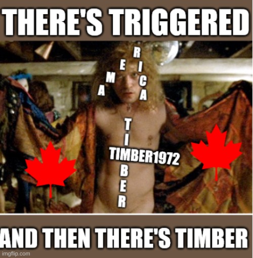 timber1972 triggered | image tagged in timber1972 triggered | made w/ Imgflip meme maker