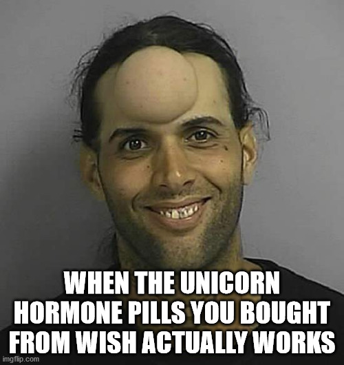 unicorn | WHEN THE UNICORN HORMONE PILLS YOU BOUGHT FROM WISH ACTUALLY WORKS | image tagged in unicorn man,ball | made w/ Imgflip meme maker