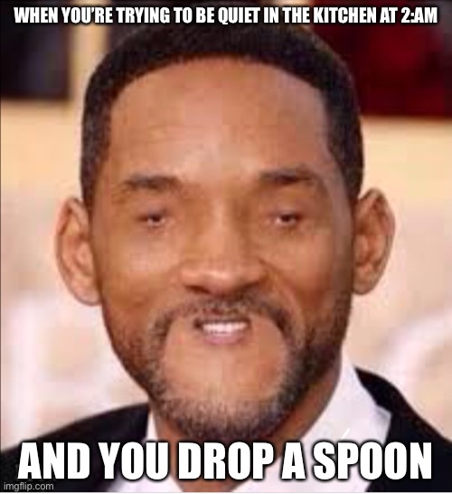 Spoon Fall | WHEN YOU’RE TRYING TO BE QUIET IN THE KITCHEN AT 2:AM; AND YOU DROP A SPOON | image tagged in funny meme,lol,never gonna give you up,never gonna let you down,never gonna run around,and desert you | made w/ Imgflip meme maker