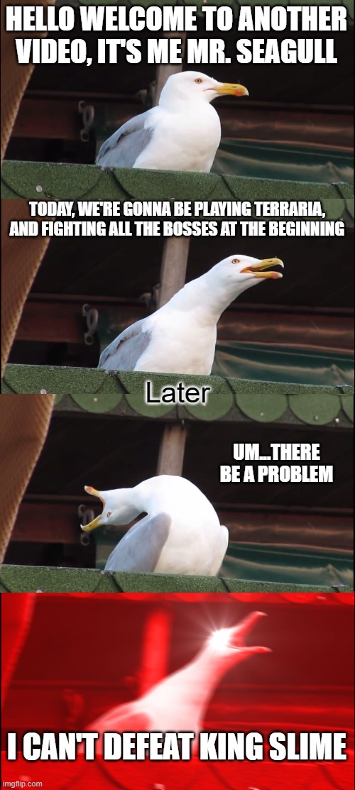 When you don't know how to play terraria | HELLO WELCOME TO ANOTHER VIDEO, IT'S ME MR. SEAGULL; TODAY, WE'RE GONNA BE PLAYING TERRARIA, AND FIGHTING ALL THE BOSSES AT THE BEGINNING; Later; UM...THERE BE A PROBLEM; I CAN'T DEFEAT KING SLIME | image tagged in memes,inhaling seagull | made w/ Imgflip meme maker