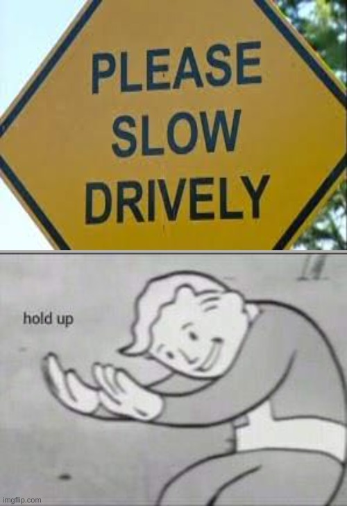 Excuse me? Please tell me how to ' Slow Drively ' | image tagged in fallout hold up | made w/ Imgflip meme maker