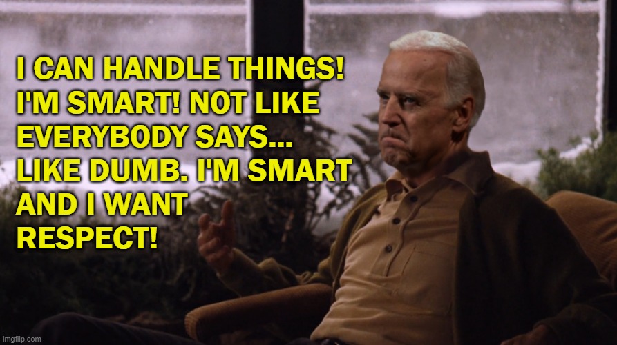 That's right, Joe. You tell 'em. | I CAN HANDLE THINGS! 
I'M SMART! NOT LIKE 
EVERYBODY SAYS...
LIKE DUMB. I'M SMART
AND I WANT
RESPECT! | image tagged in joe biden,the godfather,fredo,memes | made w/ Imgflip meme maker