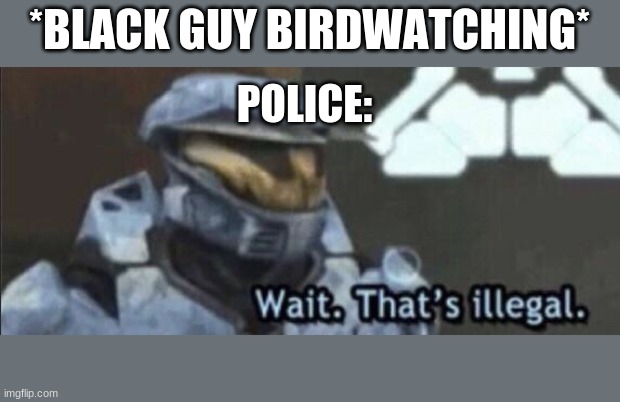 fuck racism | *BLACK GUY BIRDWATCHING*; POLICE: | image tagged in wait that s illegal | made w/ Imgflip meme maker