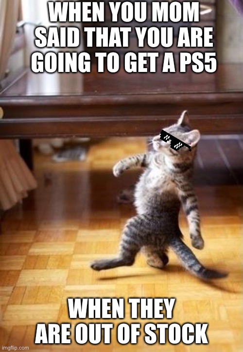 Cool Cat Stroll Meme | WHEN YOU MOM SAID THAT YOU ARE GOING TO GET A PS5; WHEN THEY ARE OUT OF STOCK | image tagged in memes,cool cat stroll | made w/ Imgflip meme maker