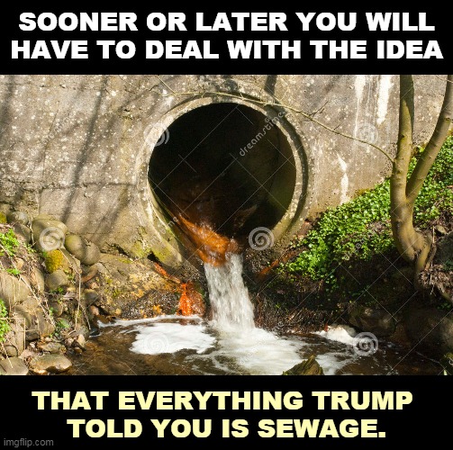 SOONER OR LATER YOU WILL HAVE TO DEAL WITH THE IDEA; THAT EVERYTHING TRUMP 
TOLD YOU IS SEWAGE. | image tagged in trump,mouth,sewer | made w/ Imgflip meme maker
