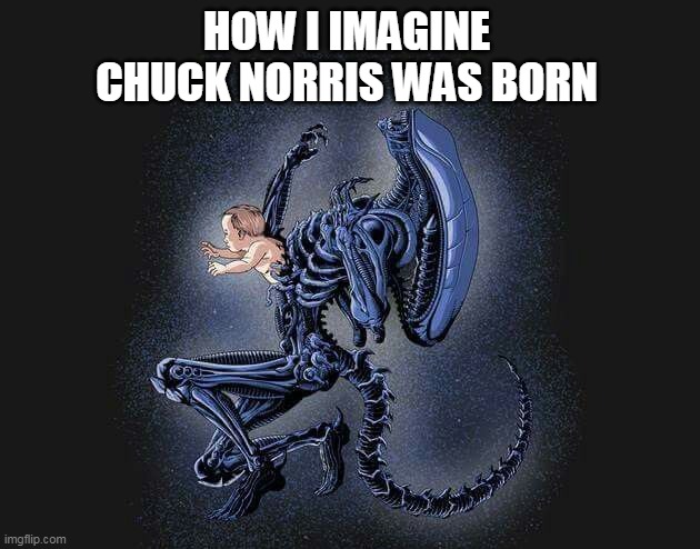 chuck norris birth | HOW I IMAGINE CHUCK NORRIS WAS BORN | image tagged in chuck norris,alien,birth | made w/ Imgflip meme maker
