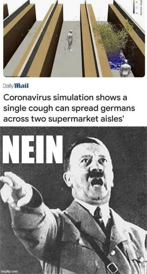 Nein | NEIN | image tagged in coronavirus germans,hitler,germans,covid-19,coronavirus,covid | made w/ Imgflip meme maker