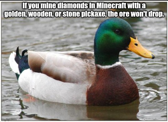 Actual Advice Mallard | If you mine diamonds in Minecraft with a golden, wooden, or stone pickaxe, the ore won't drop. | image tagged in memes,actual advice mallard | made w/ Imgflip meme maker