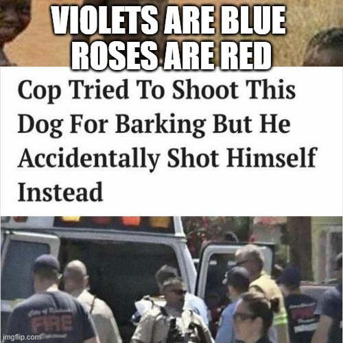 RHYME TIME #4 | VIOLETS ARE BLUE 
ROSES ARE RED | made w/ Imgflip meme maker
