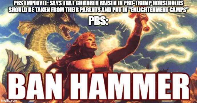 Ban Hammer | PBS EMPLOYEE: SAYS THAT CHILDREN RAISED IN PRO-TRUMP HOUSEHOLDS SHOULD BE TAKEN FROM THEIR PARENTS AND PUT IN "ENLIGHTENMENT CAMPS"; PBS: | image tagged in ban hammer | made w/ Imgflip meme maker